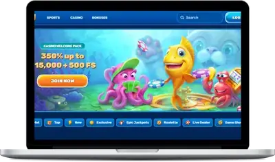 Spin Fin officiel site